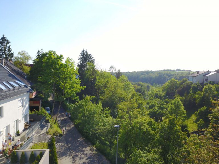 Ausblick