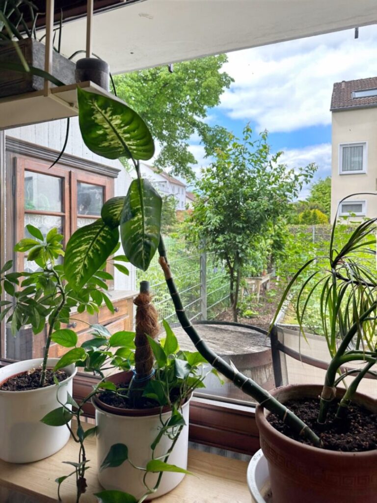 Wohnzimmer EG