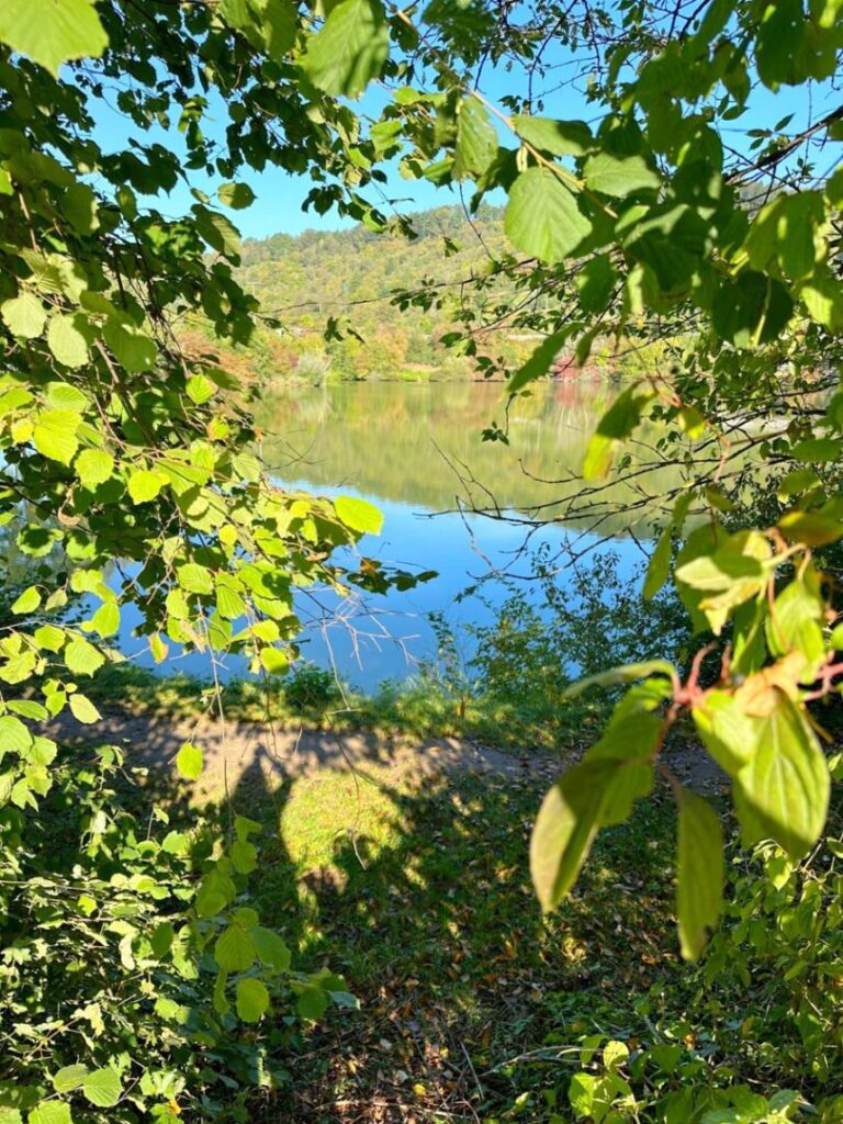 Waldhäuser Badesee