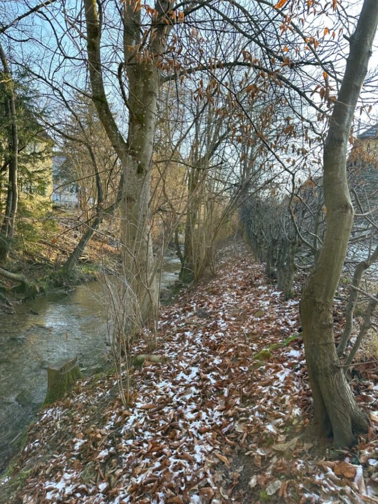 Bach entlang des Grundstücks