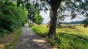 Banner_A