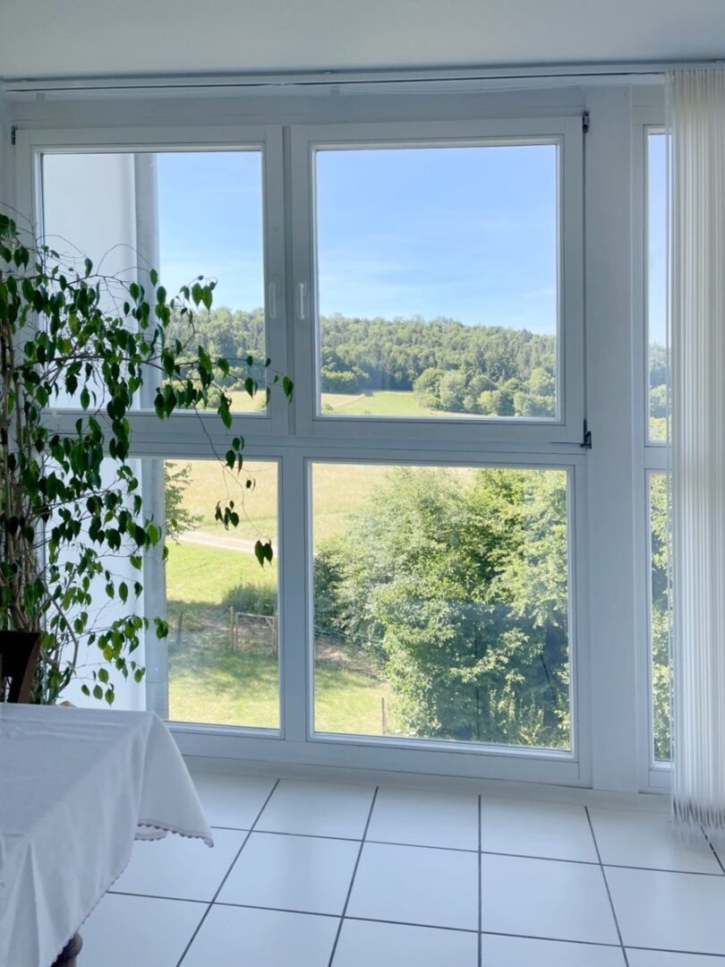 Ausblick Wintergarten