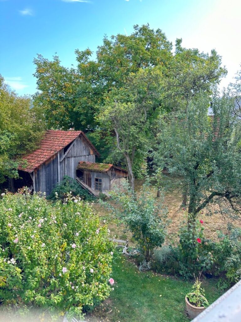 Blick vom Balkon