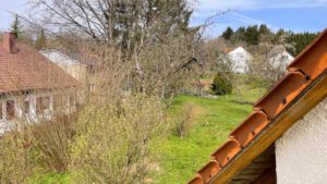 Ausblick in den Garten vom Balkon