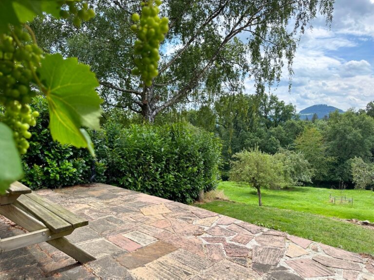 Ausblick
