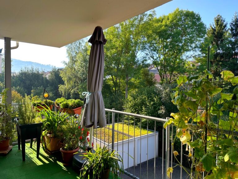 Blick vom Balkon