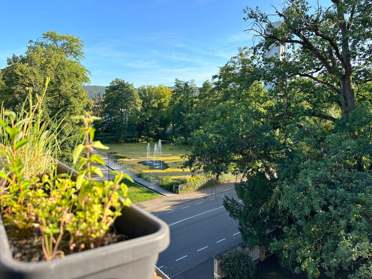 Ausblick vom Balkon