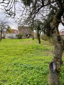 Hausansicht vom Garten