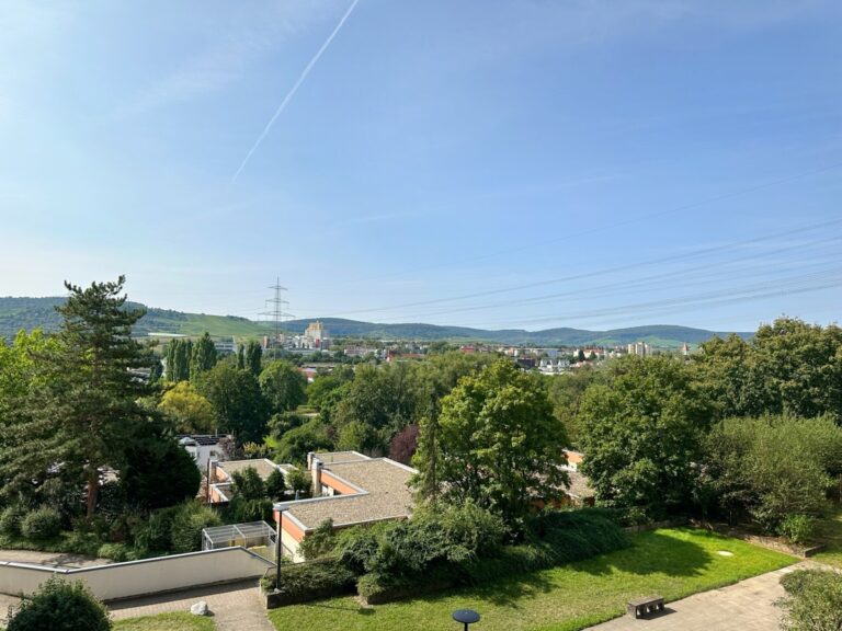 Ausblick vom Balkon