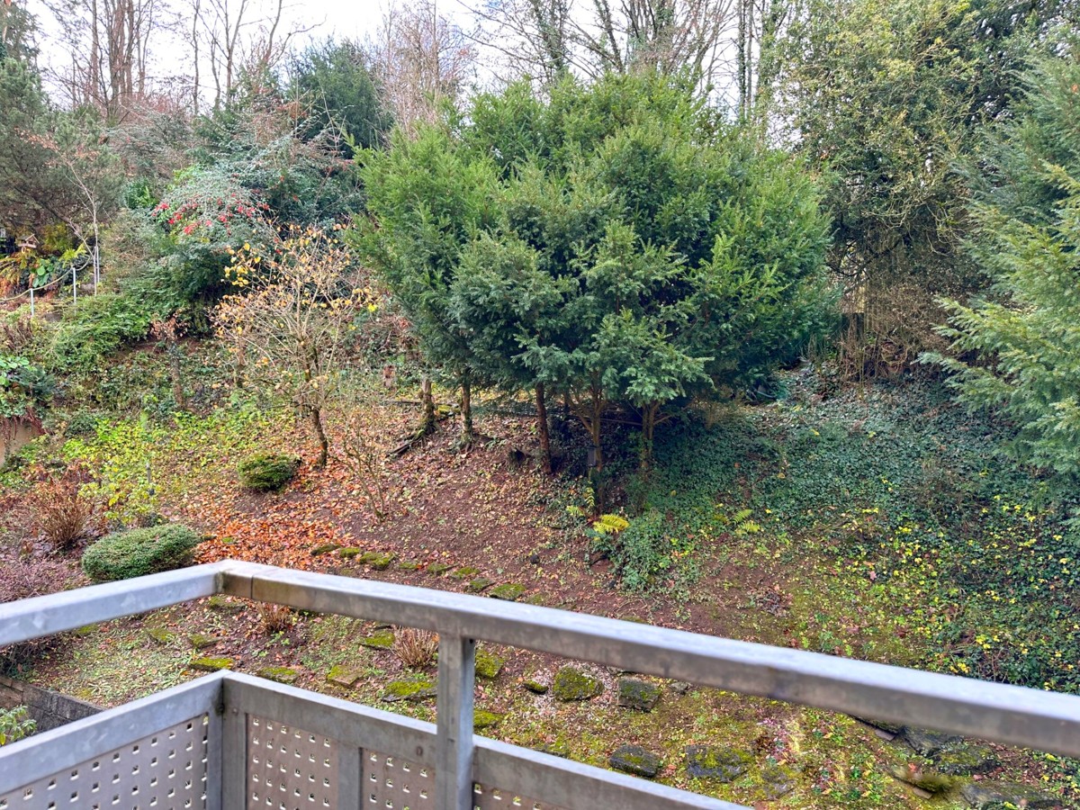 20231210_100942793_iOS