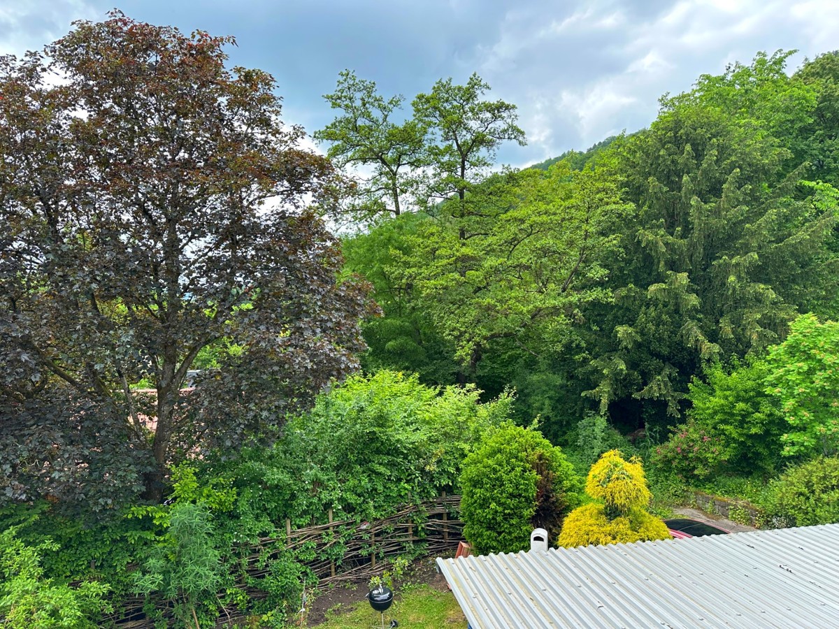Blick vom Balkon