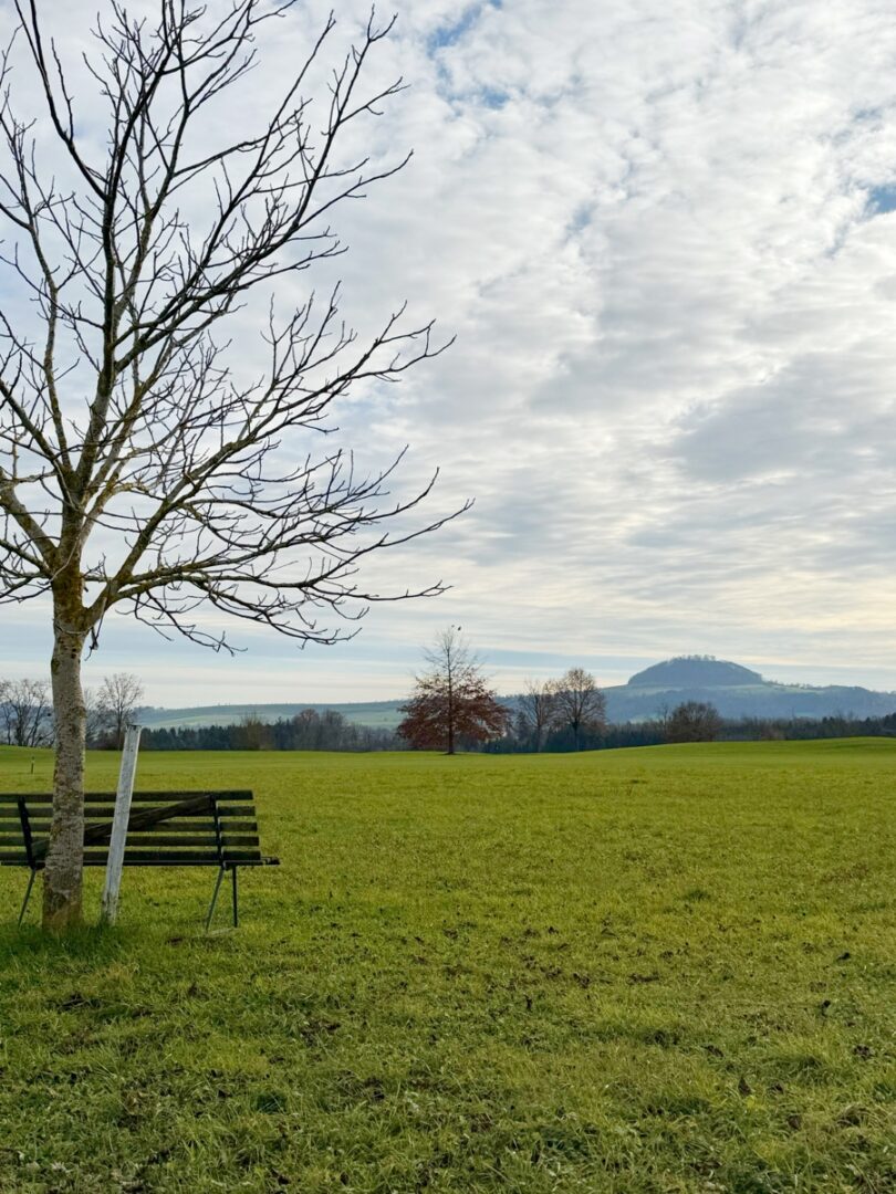 Natur am Ortrand
