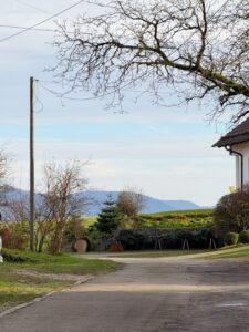 Blick Richtung Ortsausgang