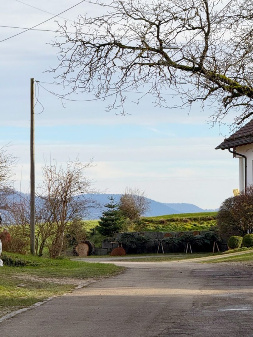 Blick Richtung Ortsausgang
