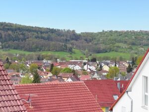 Weitblick vom Balkon OG