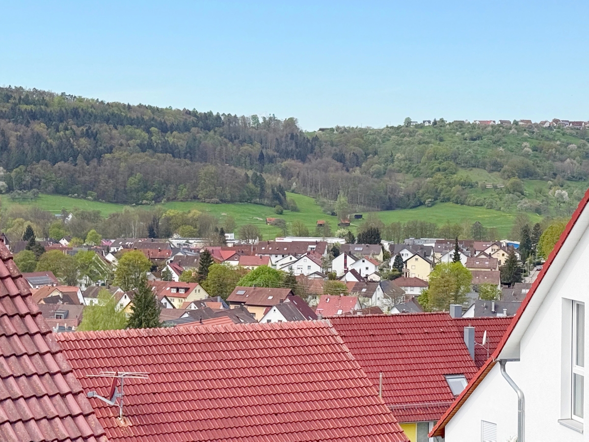 Weitblick vom Balkon OG