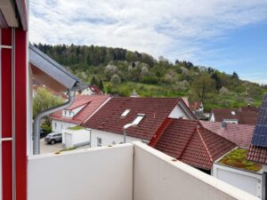 Weitblick vom Balkon OG