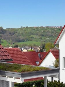 Ausblick vom Balkon EG