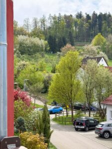 Ausblick vom Balkon EG