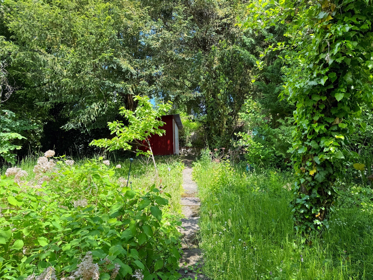 Weg zum Gartenhaus