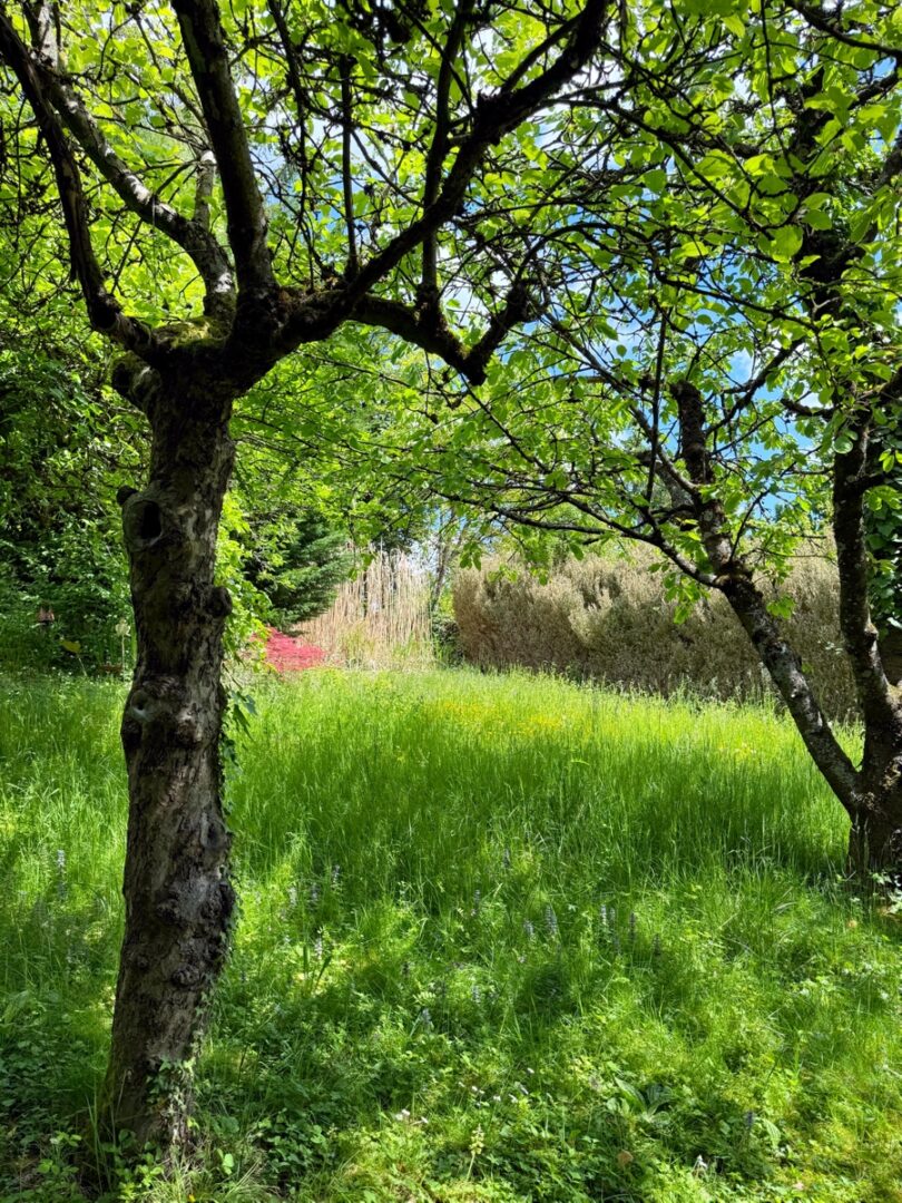 Garten