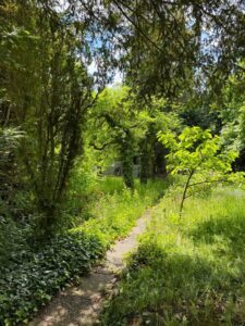 Garten