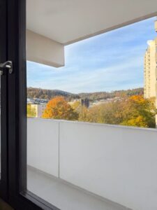 Blick vom Wohnzimmerfenster