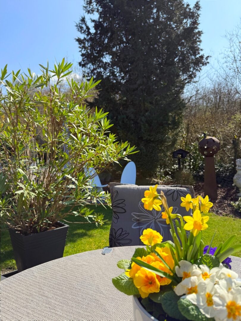 Terrasse Südseite