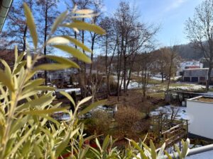 Blick vom Balkon in den Garten