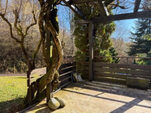 Terrasse EG
