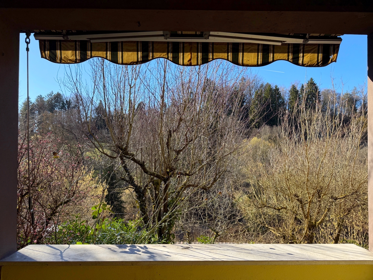 Terrasse ELW