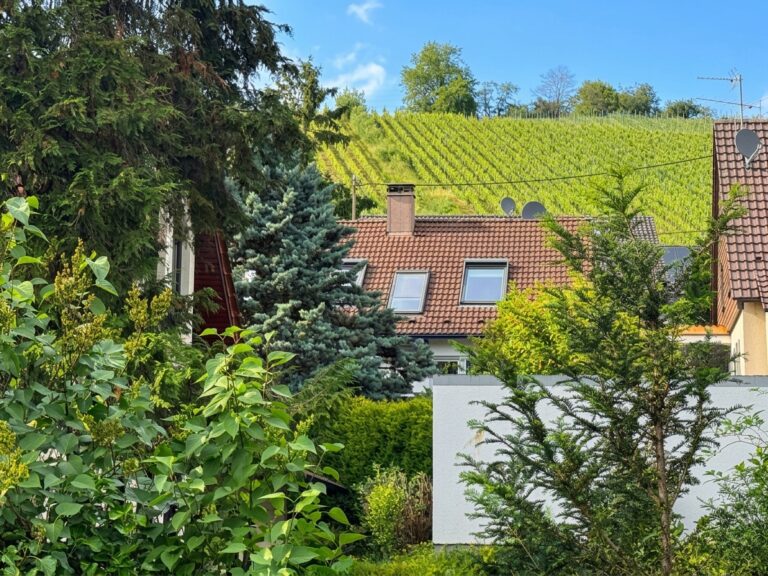 Haus eingebettet in die Natur