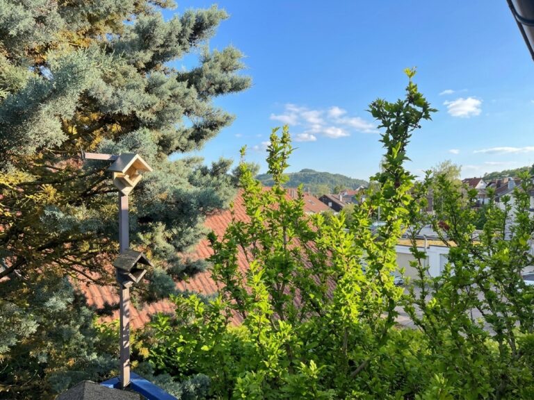 EG Balkon Ausblick