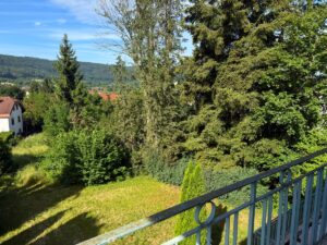 Blick vom Balkon DG