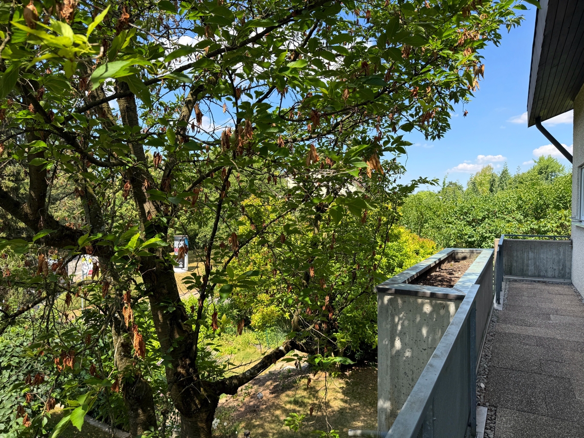 Balkon und Garten