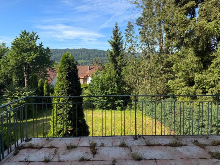 Terrasse und Garten