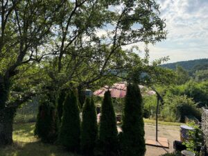 Garten & Terrasse