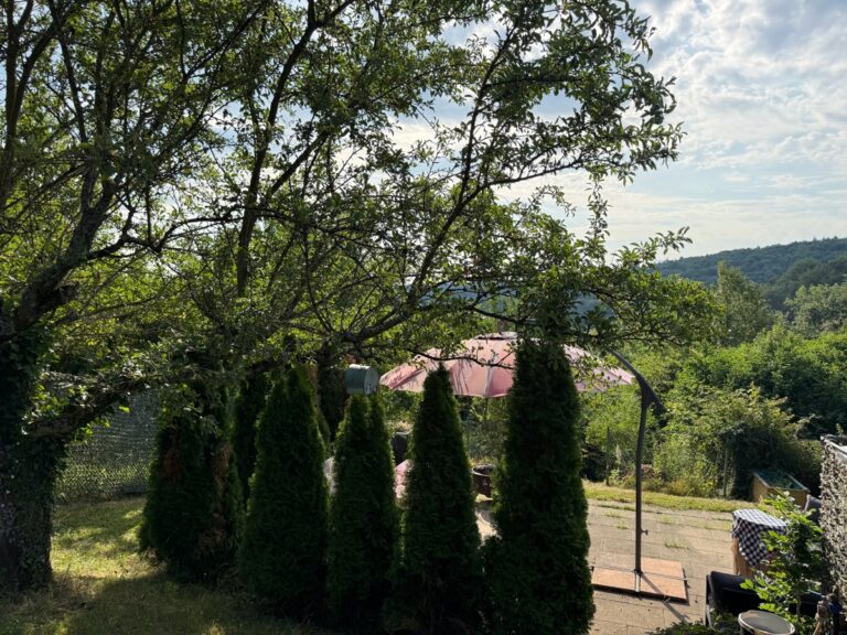 Garten & Terrasse
