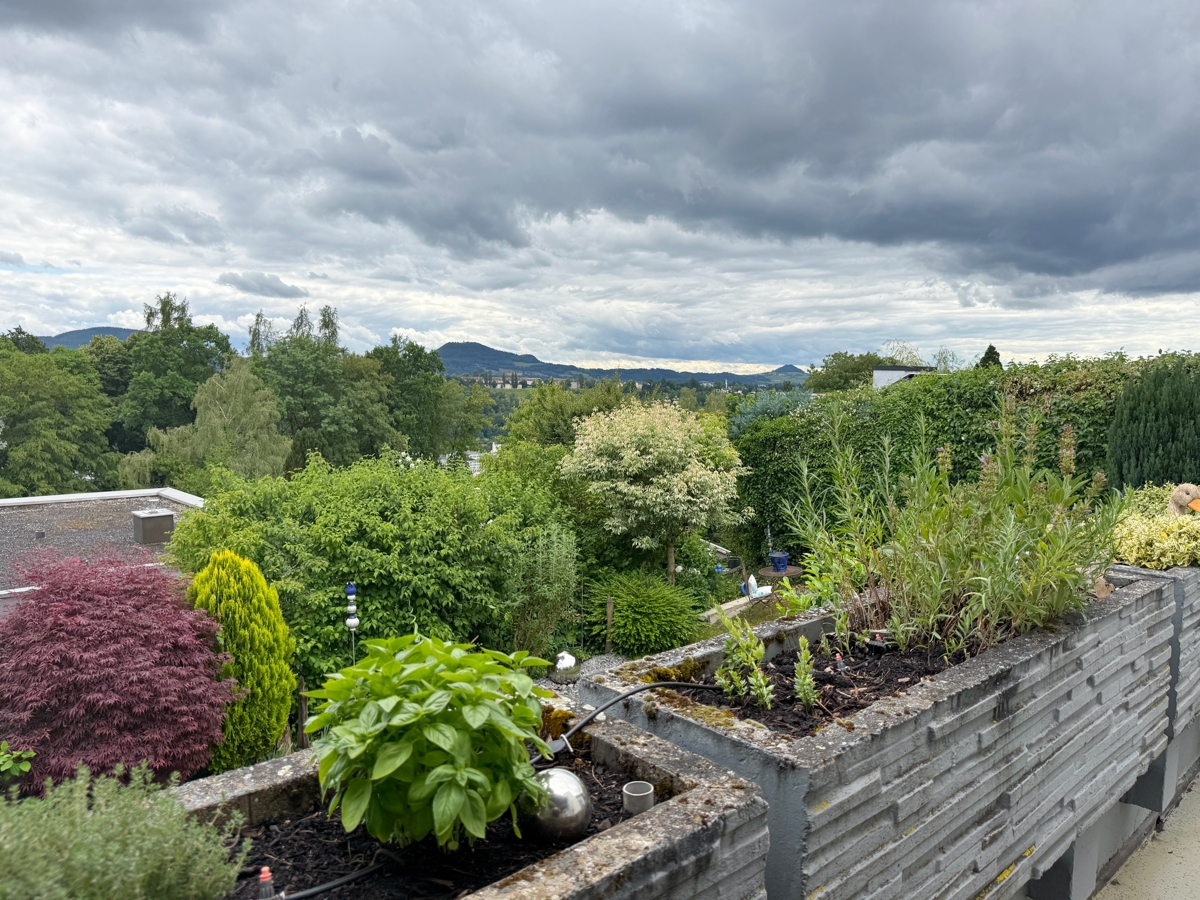 Ausblick auf die Drei Kaiserberge