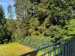 Blick vom Balkon DG