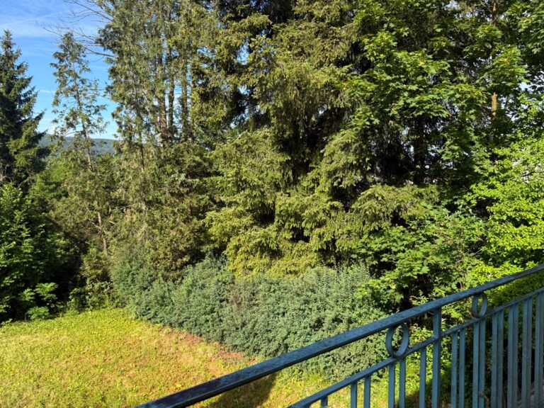 Blick vom Balkon DG