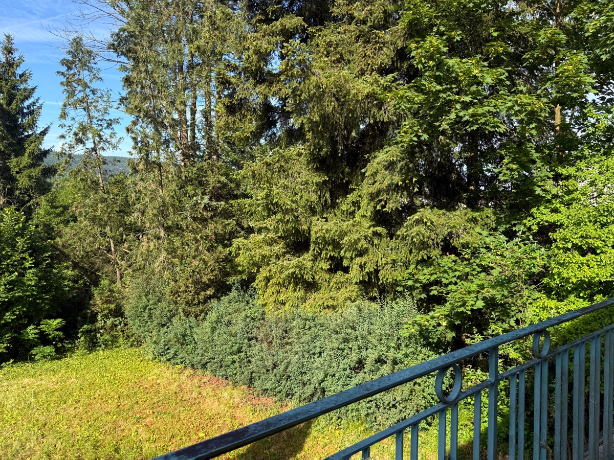 Blick vom Balkon DG