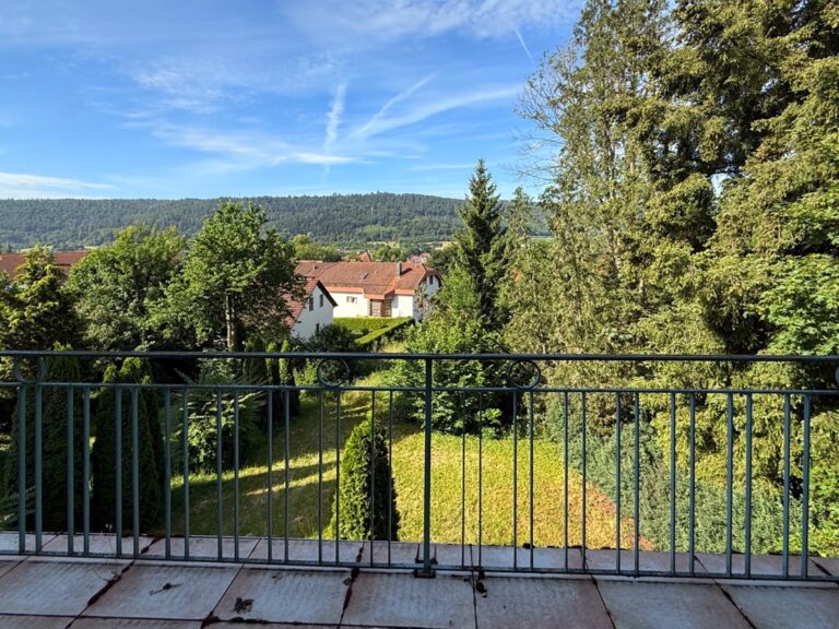 Blick vom Balkon DG