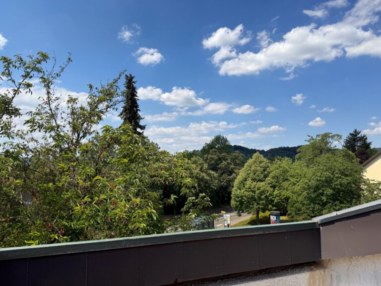 Blick von Loggia DG