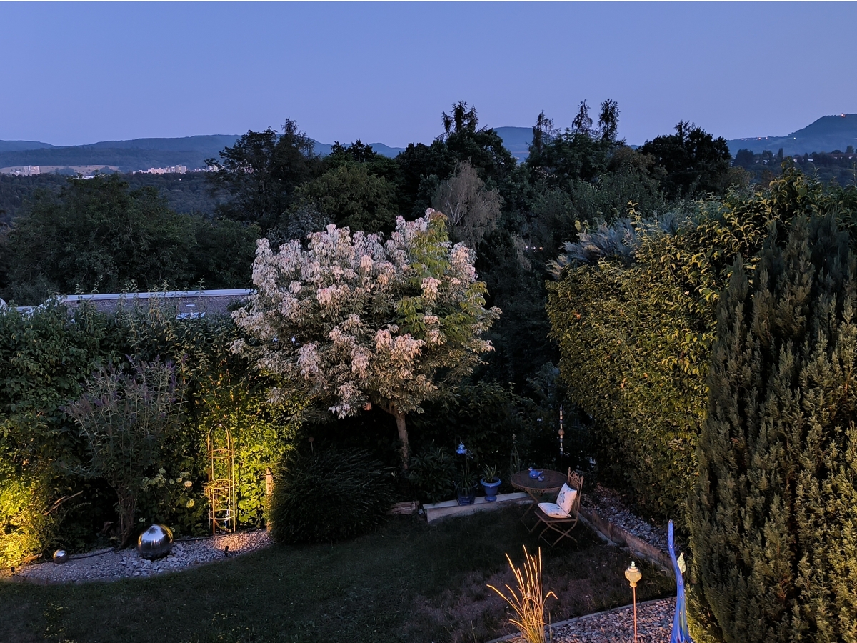 Garten bei Nacht